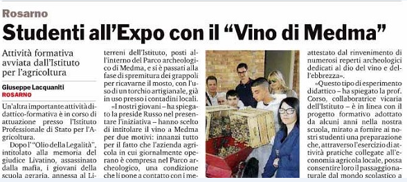 vino articolo